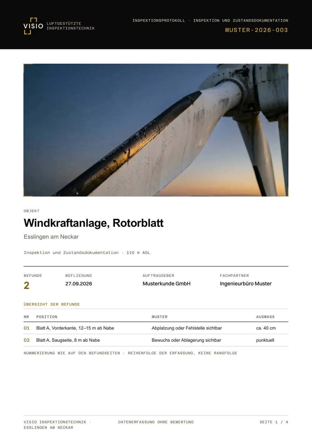 Deckblatt Musterprotokoll Inspektion & Zustandsdokumentation